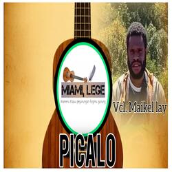 picalo (Radio Edit)