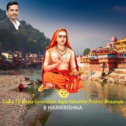 Sloka 16 Bhaja Govindam Agre Vahanihi Prishte Bhaanuh