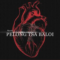 Pelong tsa Baloi