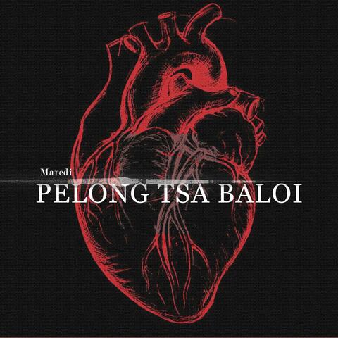 Pelong tsa Baloi
