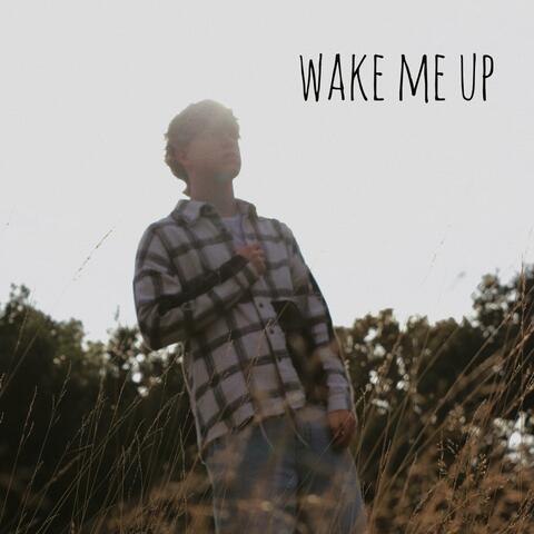 wake me up