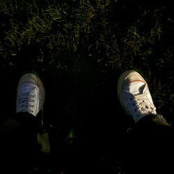 Legenden sterben jung