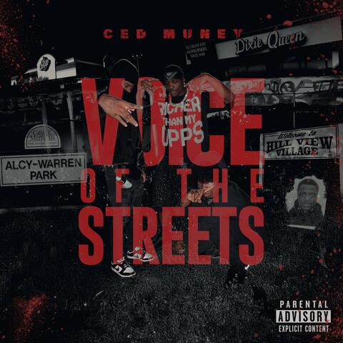 Voice Of The Streets