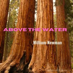 Beaming Field (feat. William Newman)