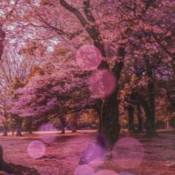 Love Thyself (feat. Niko Noir)