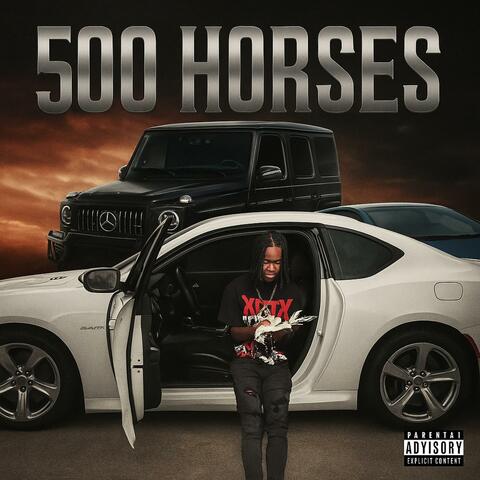 500 horses