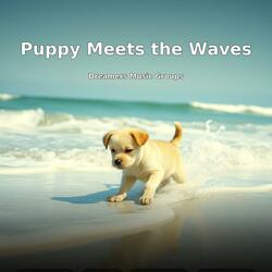 Puppy Meets The Waves