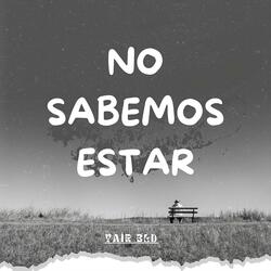 NO SABEMOS ESTAR (feat. LUREN B)