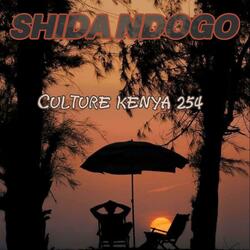 Shida ndogo