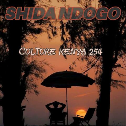 Shida ndogo