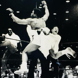 get high or die (feat. mary nagy poem)