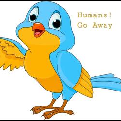 Humans Go Away