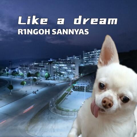 Like a dream