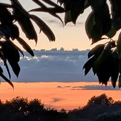 3:30 AM Wake Up Bursting