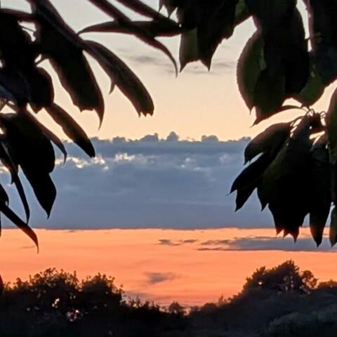 servicelevelagreement