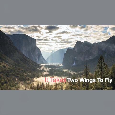 It Takes Two Wings To Fly