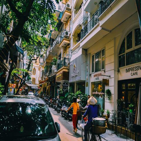 Tình Việt