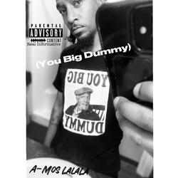 LALALA (You Big Dummy)