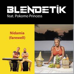 Nidamia (feat. Blendetik)
