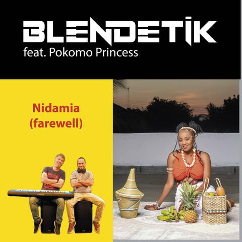Nidamia (feat. Blendetik)