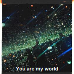 You Are My World