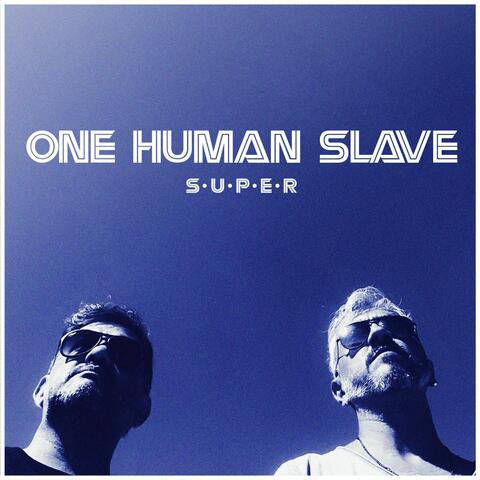 One Human Slave