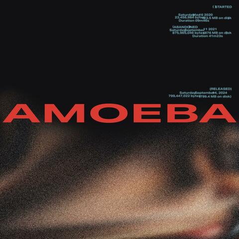 AMOEBA (raw)「2020-2021」⟨sliced⟩