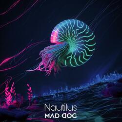 Nautilus