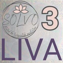 SOLVO Soul Memory