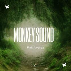 Monkey Sound