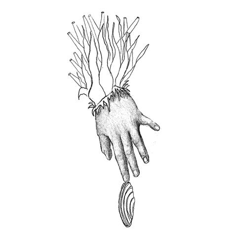 Roots of the Unseen - Separation III