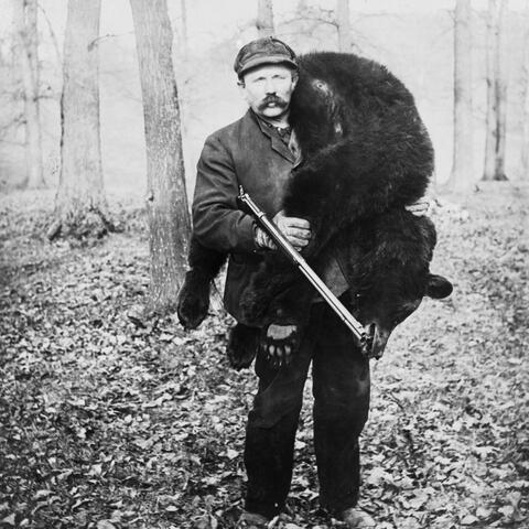 Bear Killer