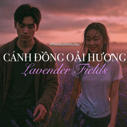 Cánh Đồng Oải Hương (Lavender Fields)
