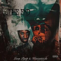 the end (feat. Wavomeechi)