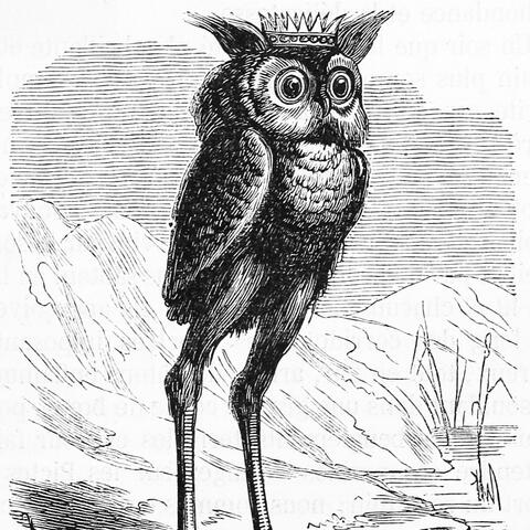 Wisdom of the Owl Prince