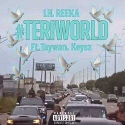 Teri World (feat. Taywan & Keysz)