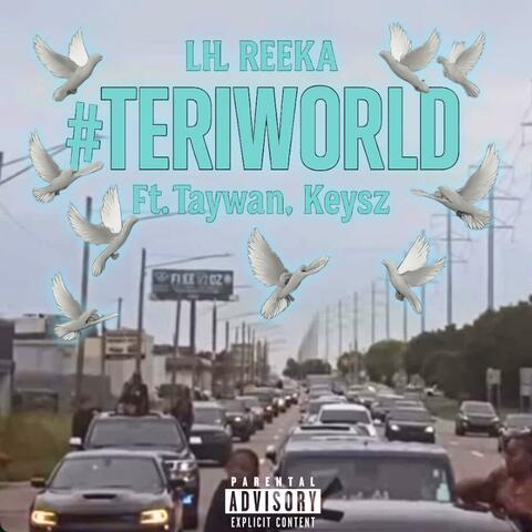 Teri World (feat. Taywan & Keysz)