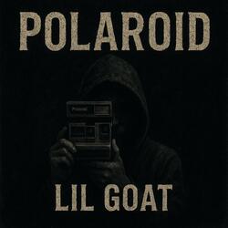 Polaroid