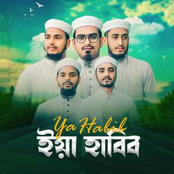 Ya Habib