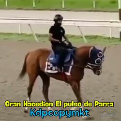 Gran Hacedion El pulso de Parra