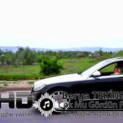 Çokmu Gördün Felek
