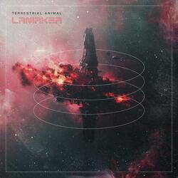 The Fading Glow of a Supernova's Passionate Heart