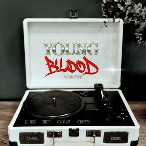 Young Blood (Prod Mvmbo) (feat. Cryssto, Lil Pels & Jeiko G)
