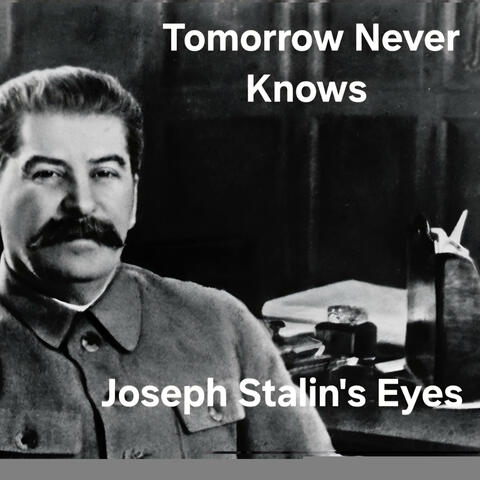 Joseph Stalin's Eyes