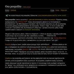 Analhista (zdechły osa diss) (feat. Ankou)