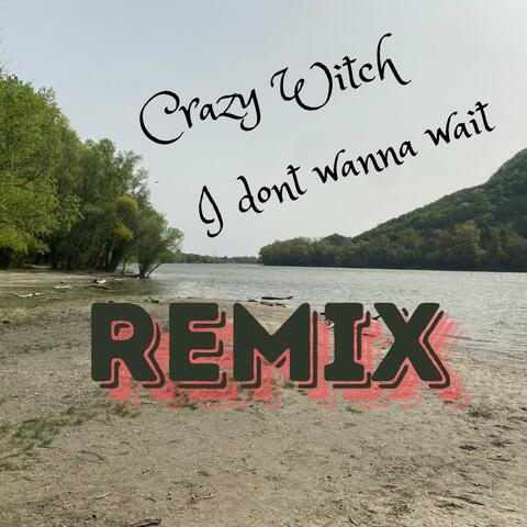 I dont wanna wait (Remix)