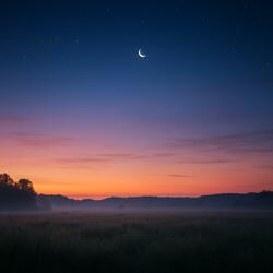Lucid Dreams