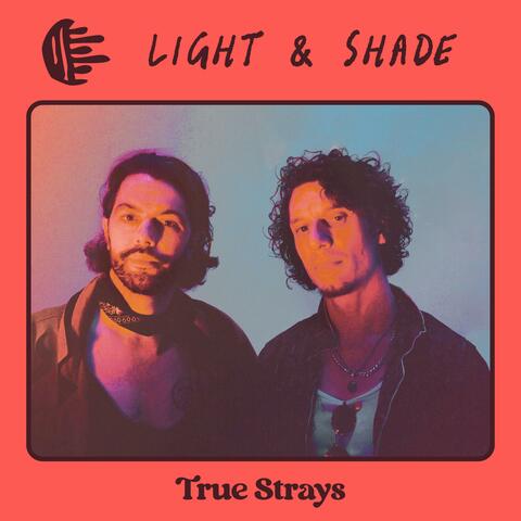 LIGHT + SHADE