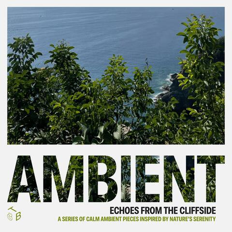 Echoes From The Cliffside