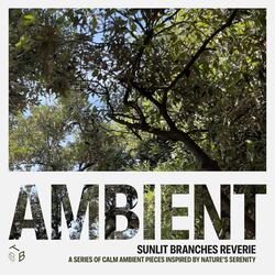 Sunlit Branches Reverie (Long Version)